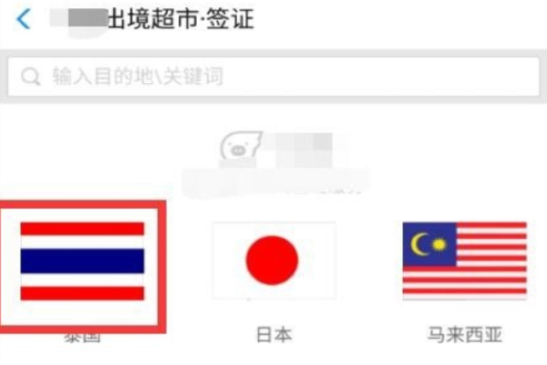 网上怎样签证