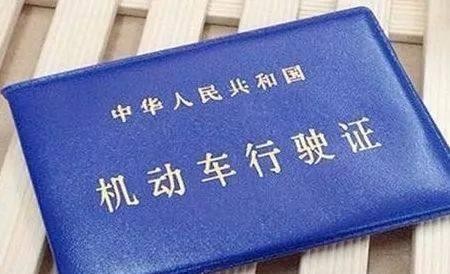 号牌种类有哪些？