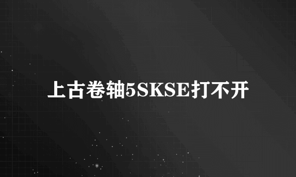 上古卷轴5SKSE打不开