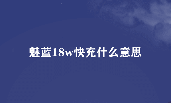 魅蓝18w快充什么意思