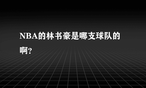 NBA的林书豪是哪支球队的啊？