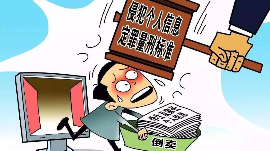 “法律适用”的含义？
