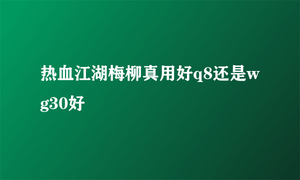 热血江湖梅柳真用好q8还是wg30好