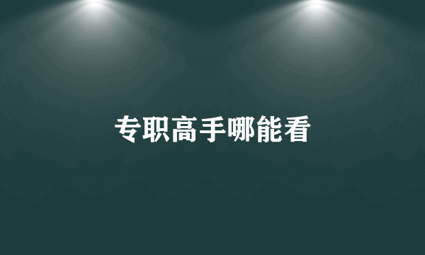 专职高手哪能看