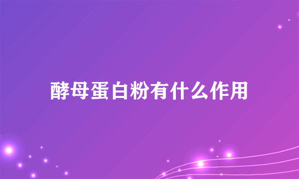 酵母蛋白粉有什么作用