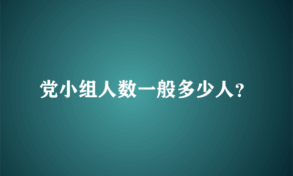 党小组人数一般多少人？