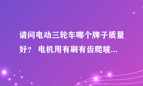 请问电动三轮车哪个牌子质量好？ 电机用有刷有齿爬坡载重能力强，还是用无刷无齿爬坡载重能力强？ 电瓶...