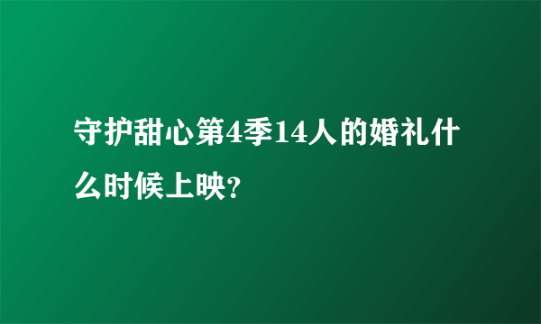 守护甜心第4季14人的婚礼什么时候上映？