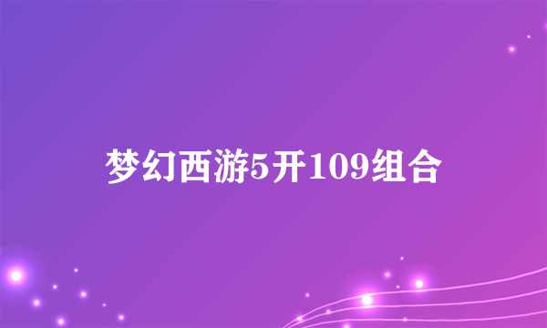 梦幻西游5开109组合