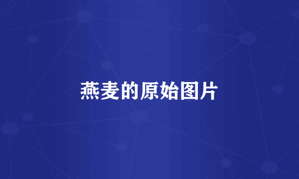 燕麦的原始图片