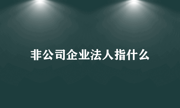 非公司企业法人指什么