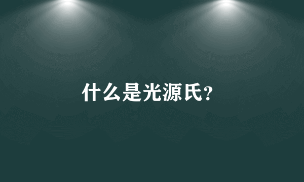 什么是光源氏？