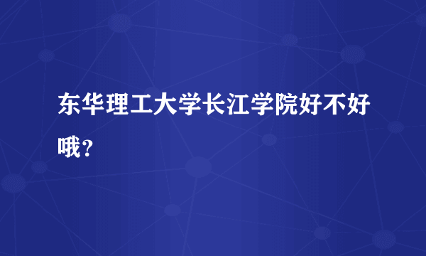 东华理工大学长江学院好不好哦？
