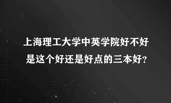 上海理工大学中英学院好不好 是这个好还是好点的三本好？