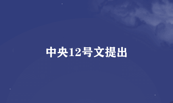 中央12号文提出