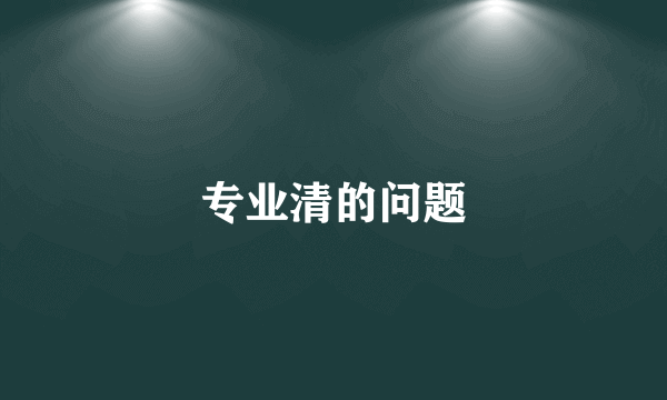 专业清的问题