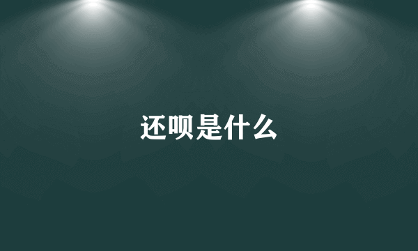 还呗是什么