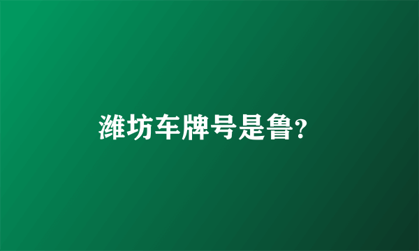 潍坊车牌号是鲁？