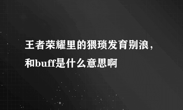 王者荣耀里的猥琐发育别浪，和buff是什么意思啊