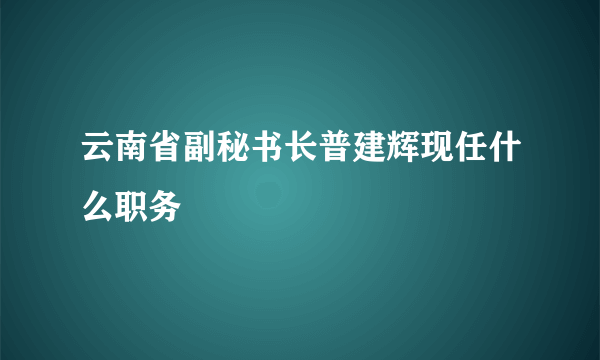 云南省副秘书长普建辉现任什么职务