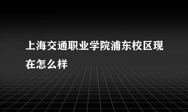 上海交通职业学院浦东校区现在怎么样
