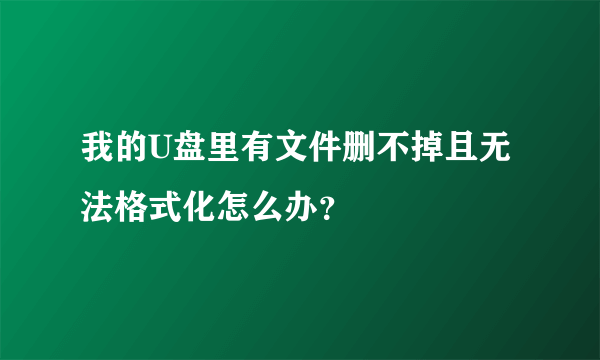 我的U盘里有文件删不掉且无法格式化怎么办？