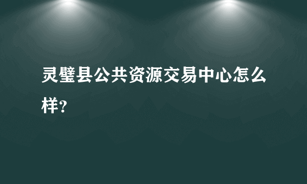 灵璧县公共资源交易中心怎么样？