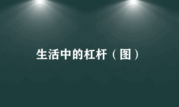生活中的杠杆（图）