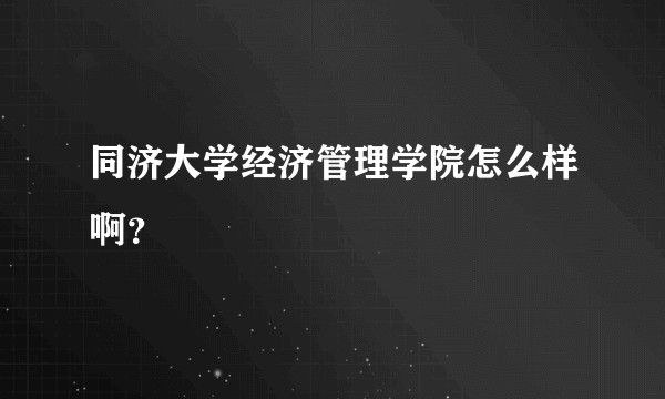 同济大学经济管理学院怎么样啊？