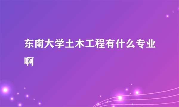 东南大学土木工程有什么专业啊