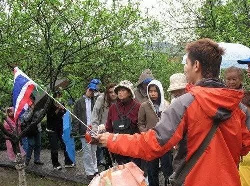 公务员考试中，旅游管理专业属于哪一类的专业类别