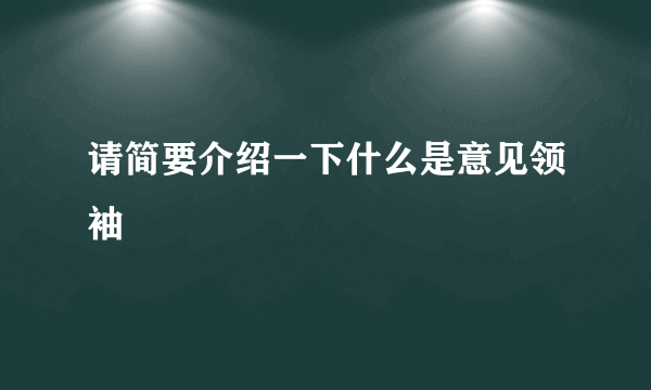 请简要介绍一下什么是意见领袖
