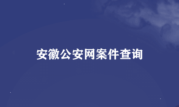 安徽公安网案件查询