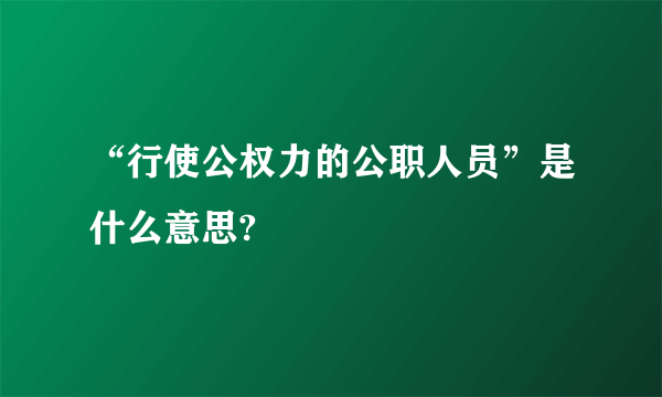 “行使公权力的公职人员”是什么意思?