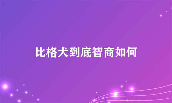 比格犬到底智商如何