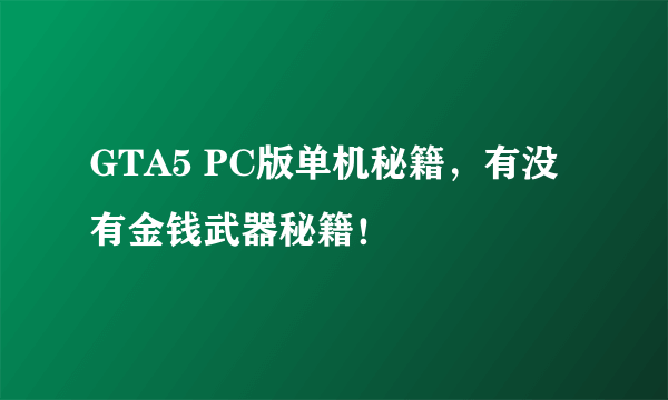 GTA5 PC版单机秘籍，有没有金钱武器秘籍！