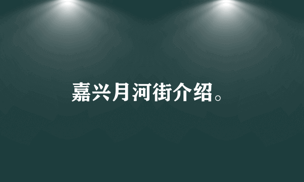 嘉兴月河街介绍。