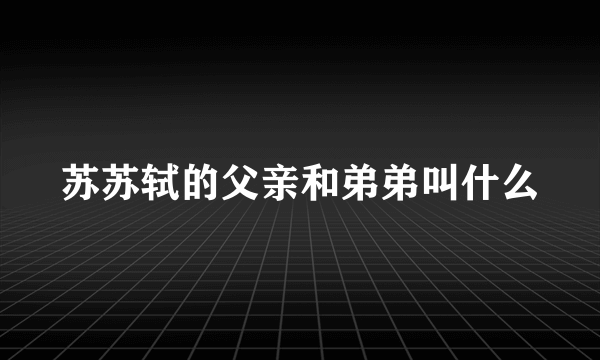 苏苏轼的父亲和弟弟叫什么