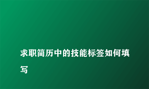 
求职简历中的技能标签如何填写

