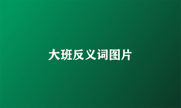 大班反义词图片