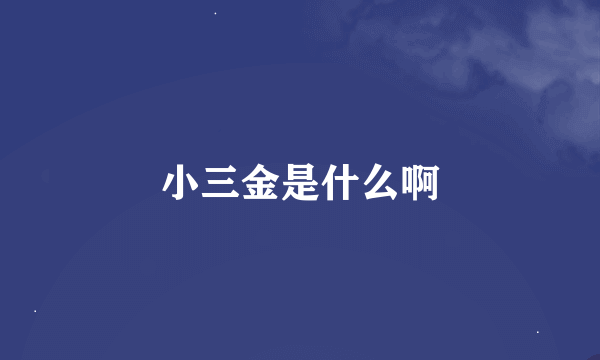小三金是什么啊