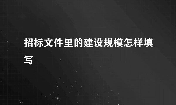 招标文件里的建设规模怎样填写