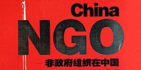 非政府组织是什么意思
