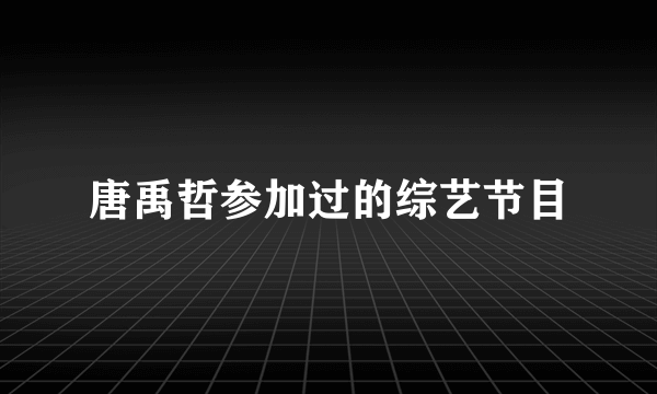 唐禹哲参加过的综艺节目