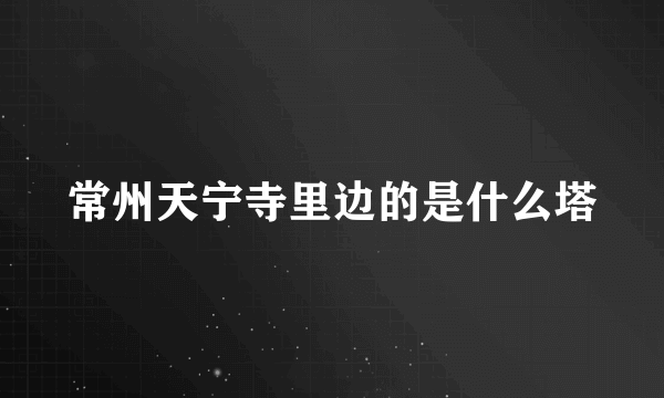 常州天宁寺里边的是什么塔