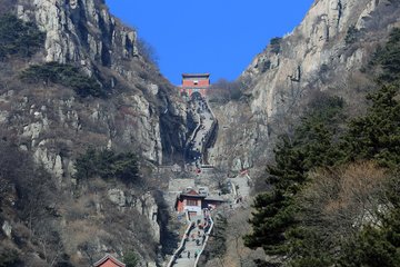 泰山在哪里？
