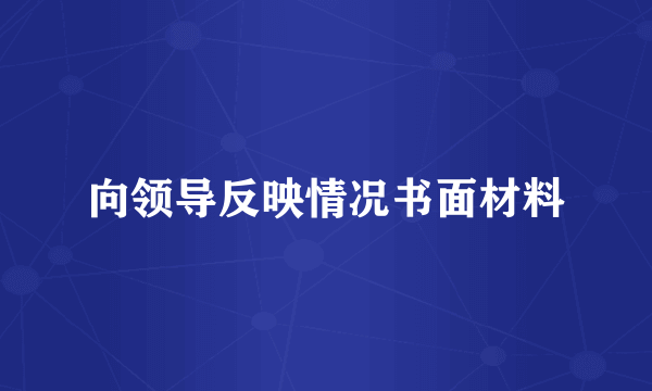 向领导反映情况书面材料