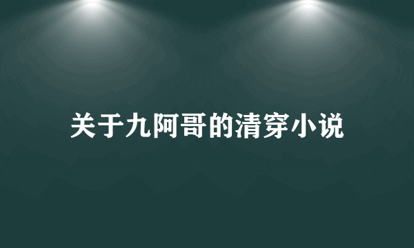 关于九阿哥的清穿小说