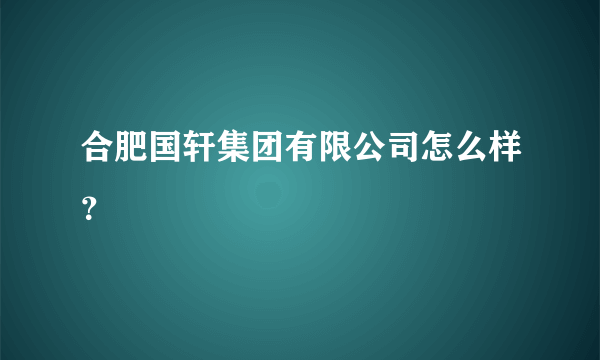 合肥国轩集团有限公司怎么样？