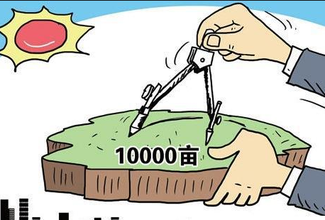 1949年兴国土地法的内容